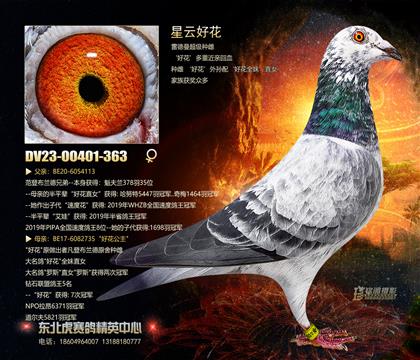 母亲
