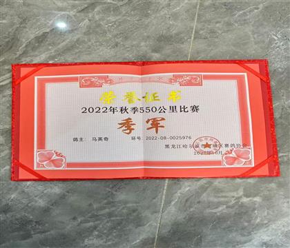 其它
