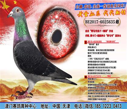 母亲