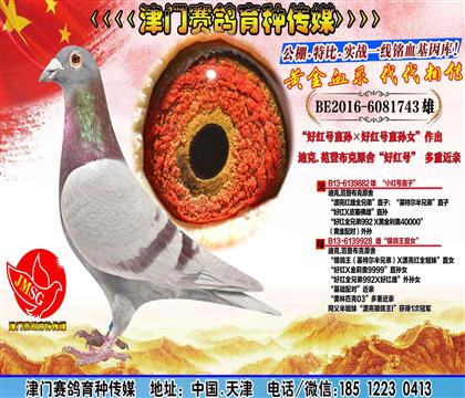 父亲