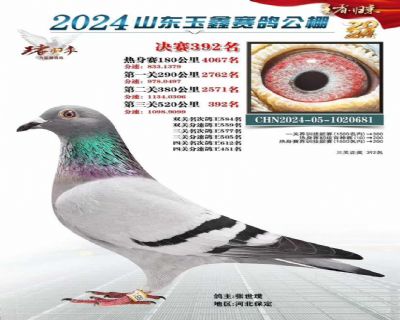 全平辈