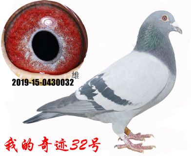 父