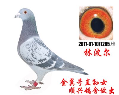 母