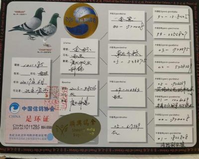 母血统书