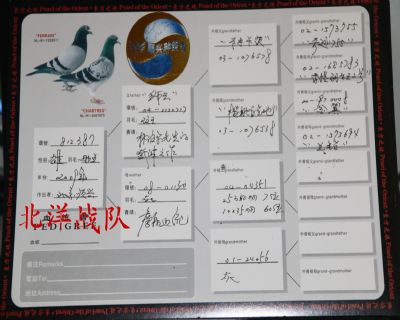 祖父血统书
