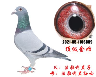 母