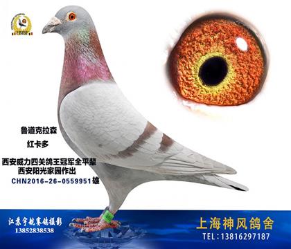 爺爺