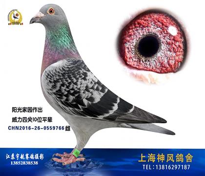 奶奶