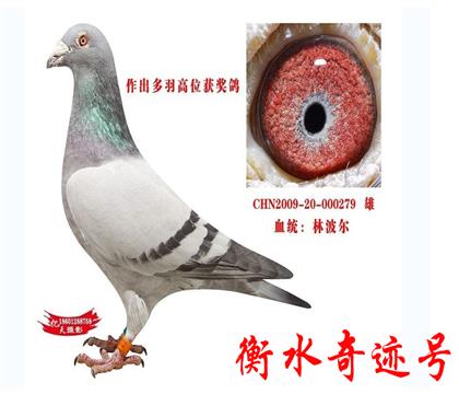 父
