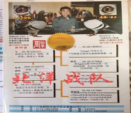 父血统书