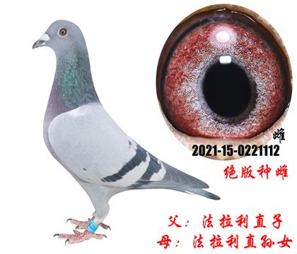 母