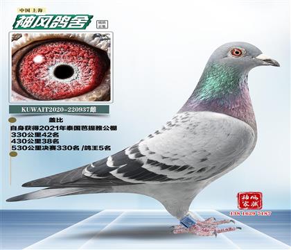 母親