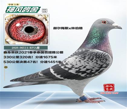母親