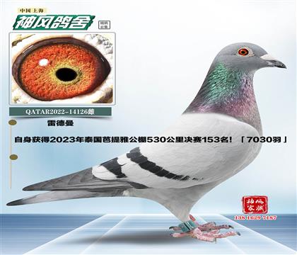 母親