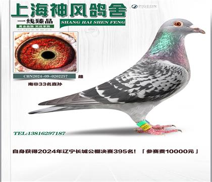 母親