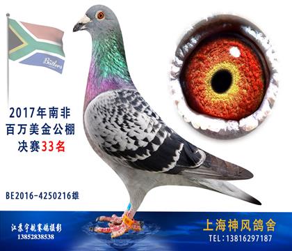 南非33名