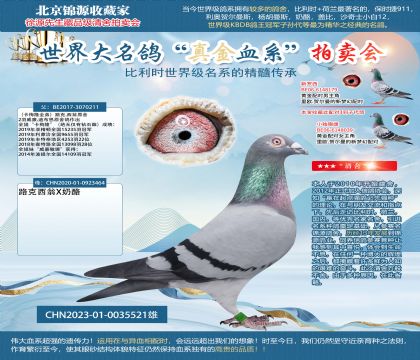 卡梅隆全弟直子23-0035521雄