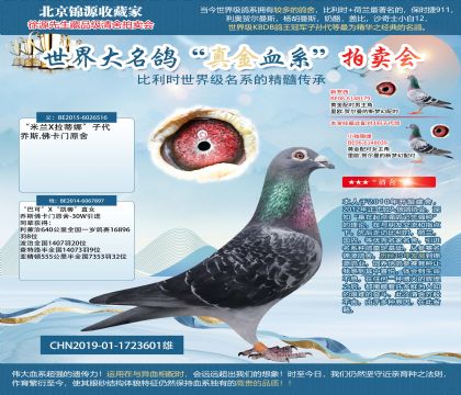 雙重“巴可”X“凱蒂”19-1723601雄