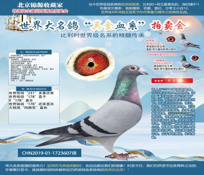 無(wú)敵利蒙治直孫19-1723607雄