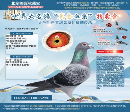 保時(shí)捷23-0035529雄
