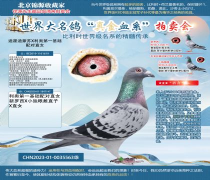 迪霍迪蒙蘇X利奧第一基礎(chǔ)配對(duì)直女23-0035563雄
