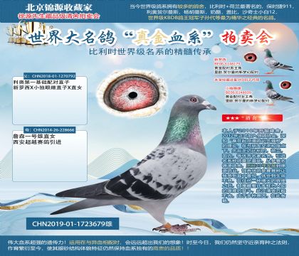 利奧第一基礎(chǔ)配對(duì)直子X詹森一號(hào)雄直女