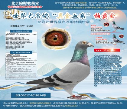 迪霍迪蒙蘇原舍“灰最佳基特爾”全兄弟