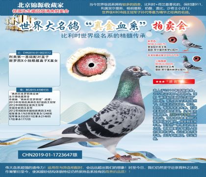 利奧X羅西塔全妹19-1723647雄