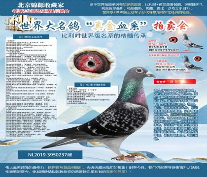 巴騰伯格米衛(wèi)原舍-“新榮耀號(hào)”X“新碧玉442”
