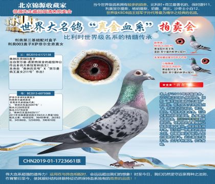 利奧第三基礎(chǔ)配對(duì)直子19-1723661雄