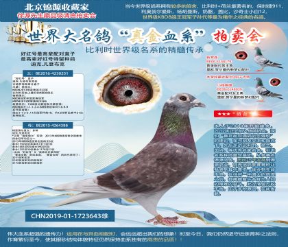 好紅號(hào)19-1723643雄
