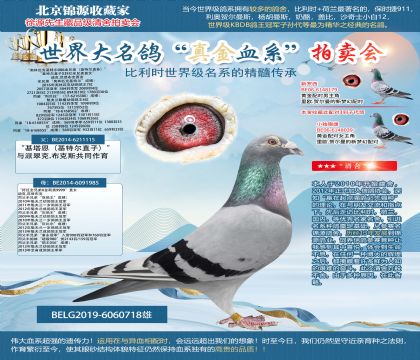 迪克.范登布克原舍“奧林匹克基特爾006全兄弟”