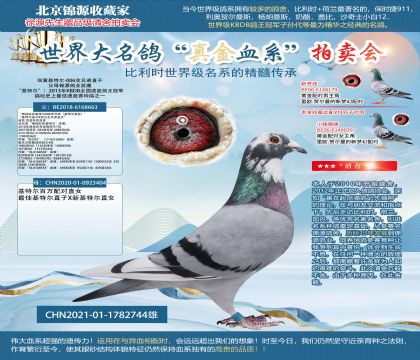 雙重基特爾-006全兄弟直子