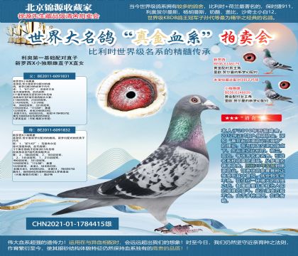 利奧第一基礎(chǔ)配對(duì)直子21-1784415雄