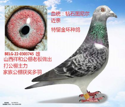 h(hun)@ʯD᠖ؽH