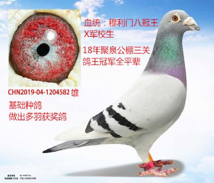 A(ch)NT˹XT܊У