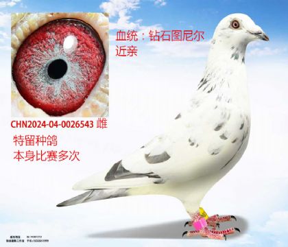 @ʯD᠖ؽH