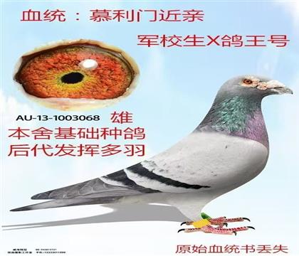 父