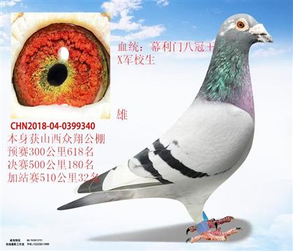 平輩