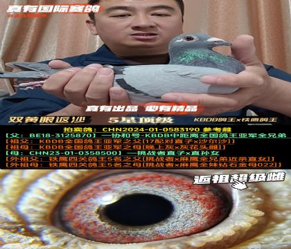 pS۷ɳ-ĸY(ji)(gu)KBDBxF