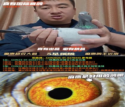 ơH