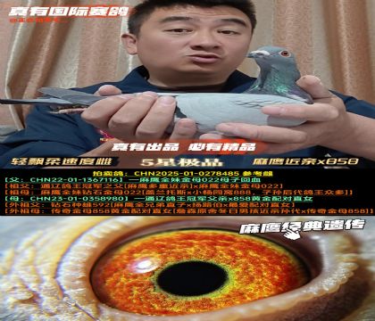 phٶȴơHx858