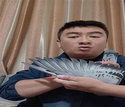 翅膀