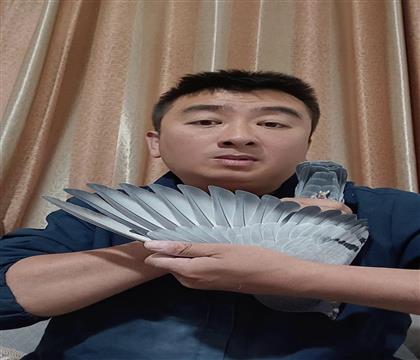 翅膀