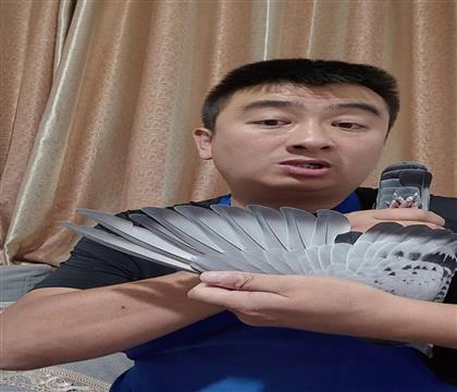 翅膀