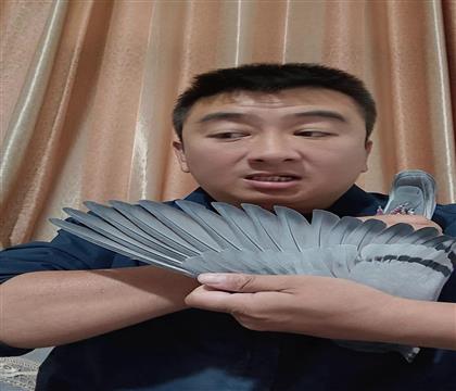 翅膀