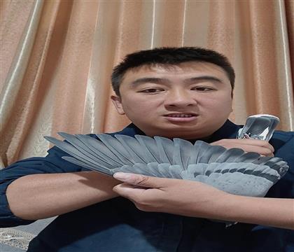 翅膀