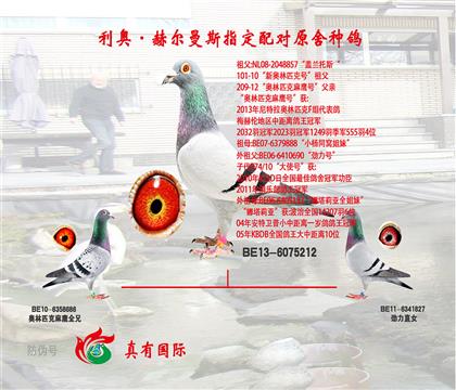 國家賽6名父親
