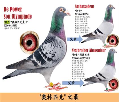 勁力號