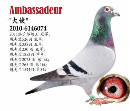 勁力號直子-大使號